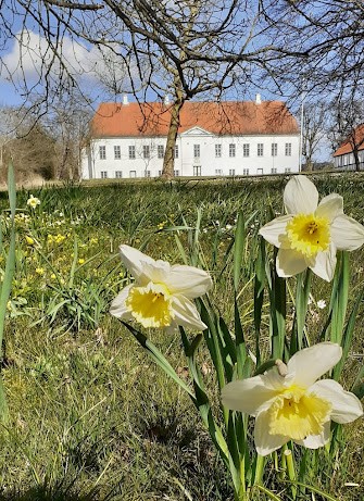 Modtag et nyhedsbrev